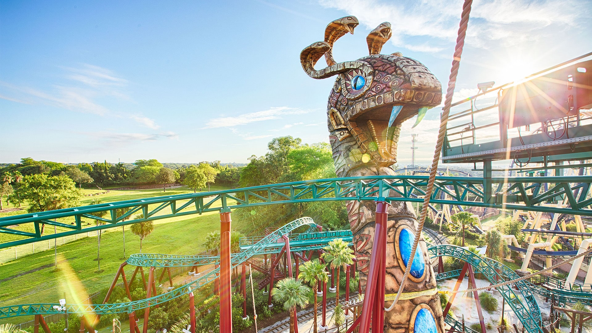 Cobra s Curse at Busch Gardens Tampa Bay